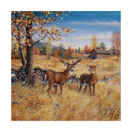 Trademark Fine Art Jeff Tift 'Colors Of Autumn' Canvas Art, 24x24 ALI30162-C2424GG